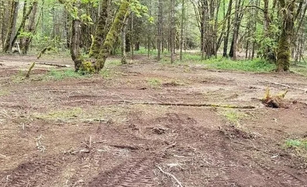 Before and After